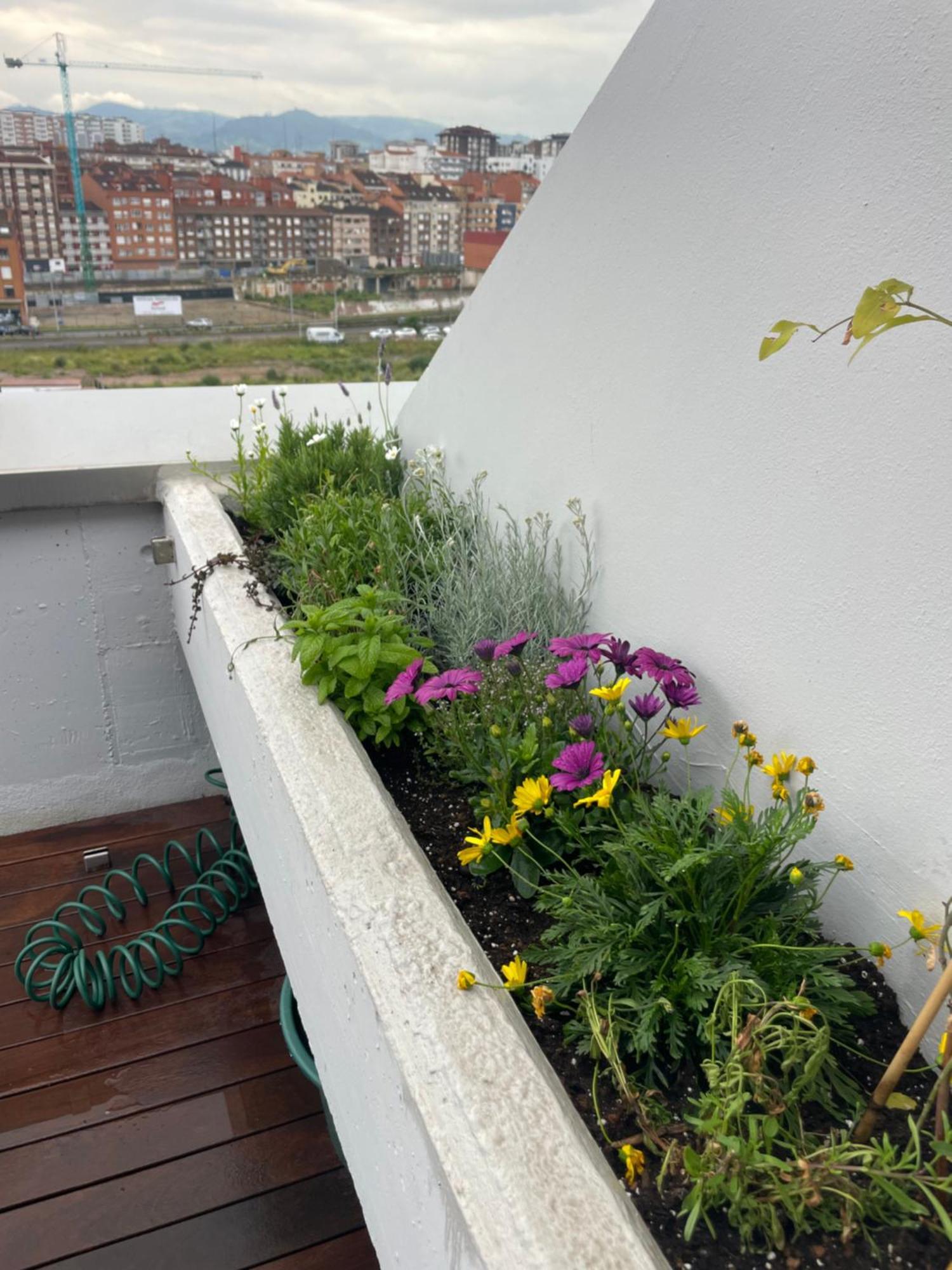 El Atico De La Playa Parking Gratis Apartment Gijon Luaran gambar